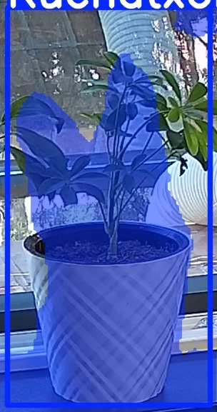 TREE-000013_20260623_102228.jpg