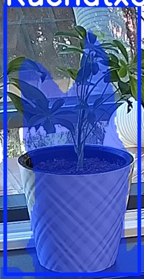 TREE-000013_20260623_102340.jpg