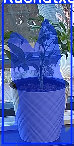 TREE-000013_20260623_102646.jpg