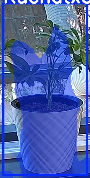 TREE-000013_20260623_102756.jpg