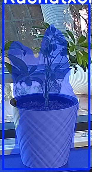 TREE-000013_20260623_102907.jpg