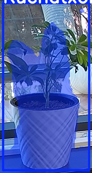 TREE-000013_20260623_103017.jpg