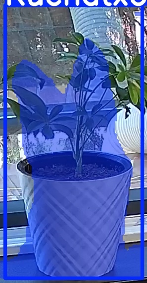 TREE-000013_20260623_103210.jpg