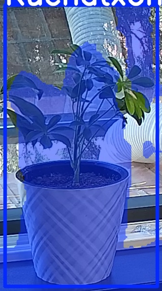 TREE-000013_20260623_104034.jpg