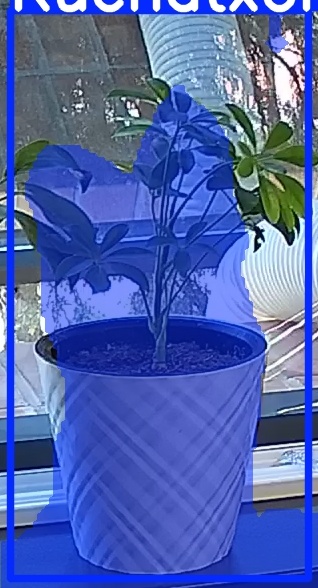 TREE-000013_20260623_104254.jpg