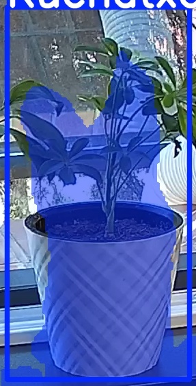 TREE-000013_20260623_104538.jpg