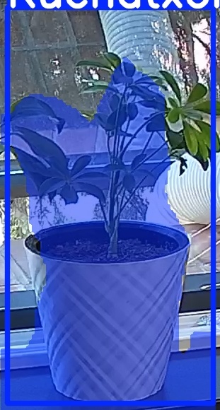 TREE-000013_20260623_104645.jpg