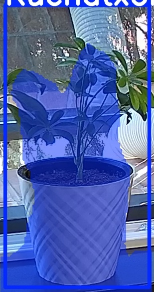 TREE-000013_20260623_104756.jpg