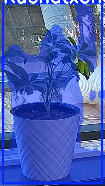 TREE-000013_20260623_105359.jpg