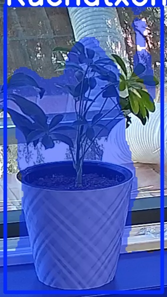 TREE-000013_20260623_105509.jpg