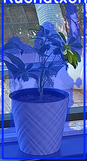 TREE-000013_20260623_105727.jpg