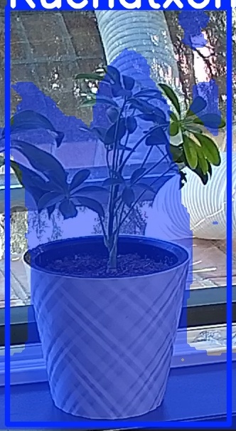 TREE-000013_20260623_110100.jpg