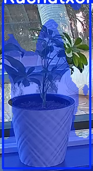 TREE-000013_20260623_110210.jpg