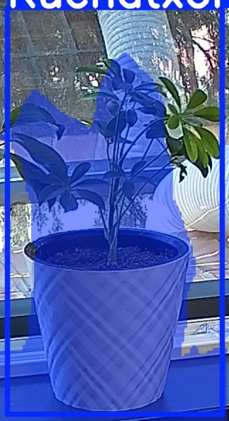 TREE-000013_20260623_110319.jpg