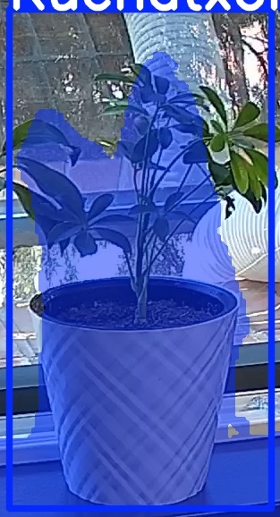 TREE-000013_20260623_110429.jpg