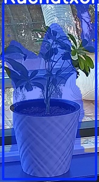 TREE-000013_20260623_110542.jpg