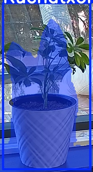 TREE-000013_20260623_110804.jpg