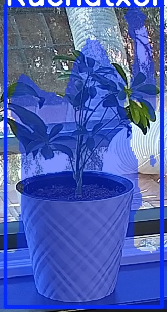 TREE-000013_20260623_110913.jpg