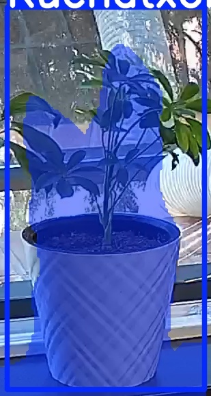 TREE-000013_20260623_111031.jpg