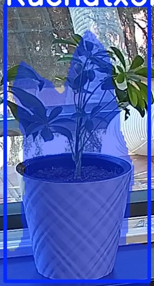 TREE-000013_20260623_111140.jpg