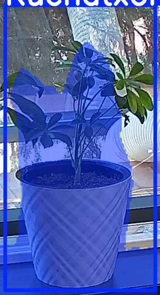 TREE-000013_20260623_111247.jpg