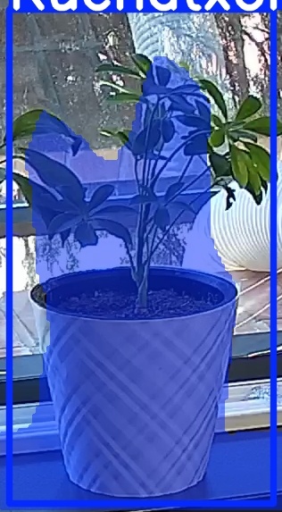 TREE-000013_20260623_111408.jpg