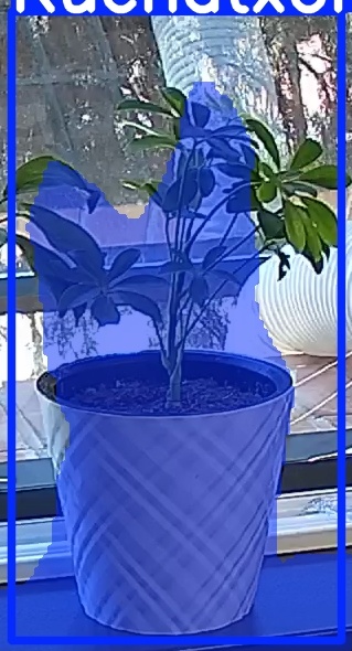 TREE-000013_20260623_111519.jpg