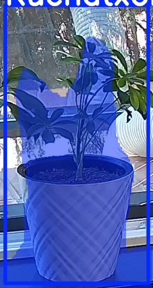 TREE-000013_20260623_111629.jpg