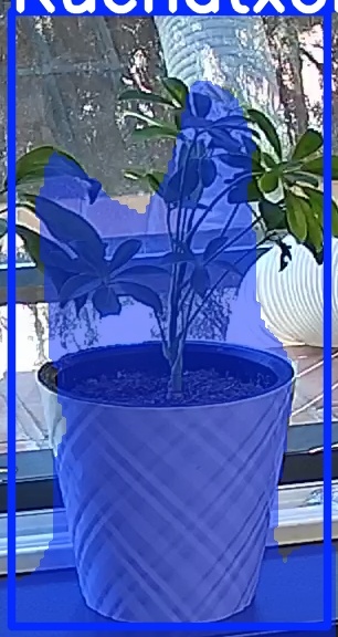 TREE-000013_20260623_111646.jpg