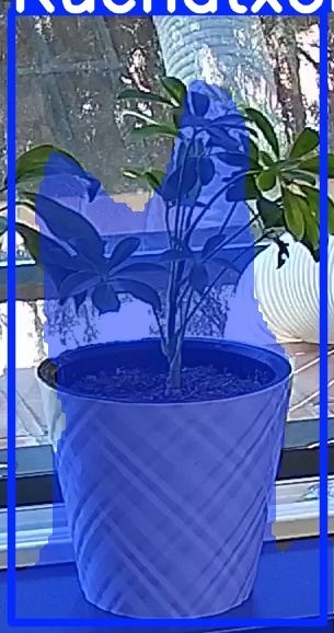 TREE-000013_20260623_111707.jpg