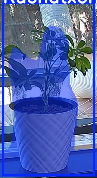 TREE-000013_20260623_111749.jpg