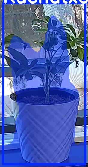 TREE-000013_20260623_112011.jpg