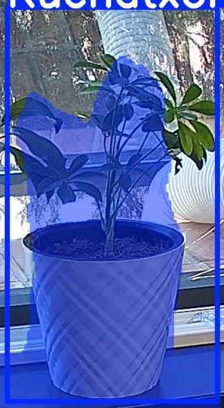 TREE-000013_20260623_112121.jpg