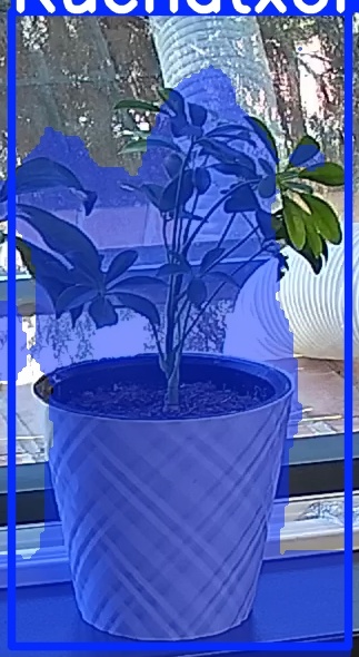 TREE-000013_20260623_112231.jpg