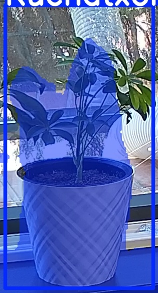 TREE-000013_20260623_112342.jpg