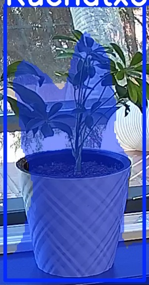 TREE-000013_20260623_112452.jpg