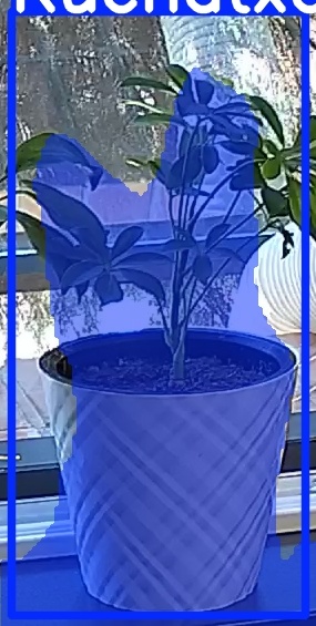TREE-000013_20260623_112920.jpg