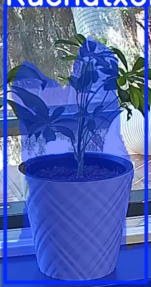 TREE-000013_20260623_113208.jpg