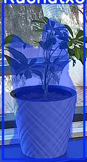 TREE-000013_20260623_113238.jpg
