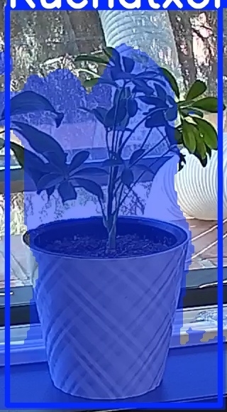 TREE-000013_20260623_115242.jpg