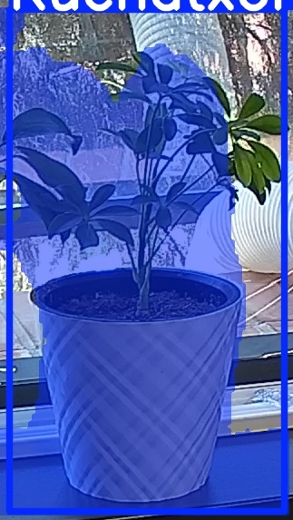 TREE-000013_20260623_115351.jpg