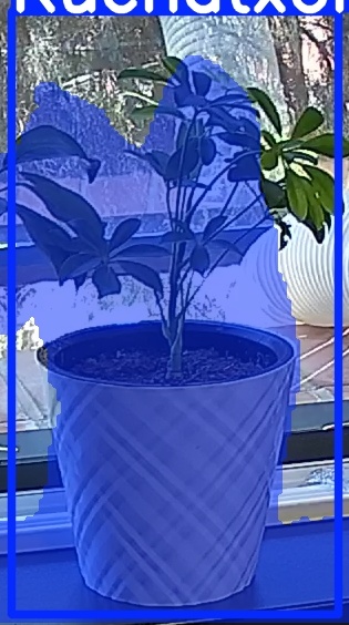 TREE-000013_20260623_115831.jpg