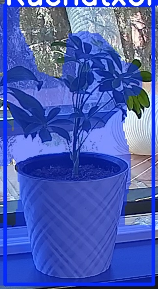 TREE-000013_20260623_115942.jpg