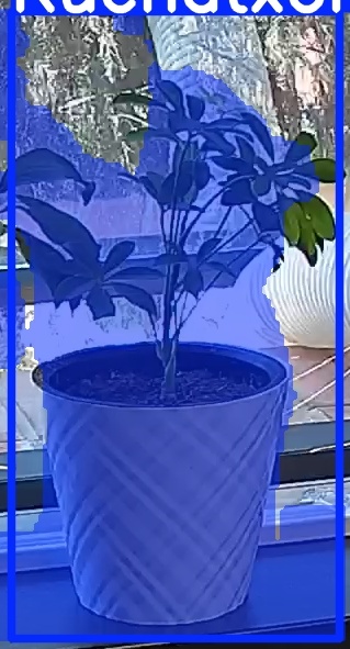 TREE-000013_20260623_120313.jpg