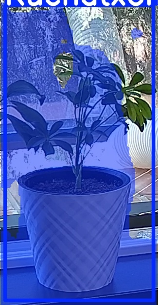 TREE-000013_20260623_120644.jpg