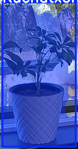 TREE-000013_20260623_120802.jpg