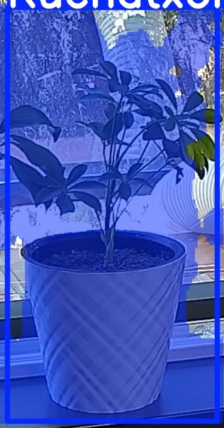 TREE-000013_20260623_120815.jpg