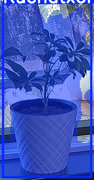 TREE-000013_20260623_120930.jpg