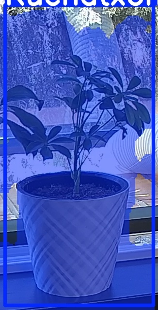 TREE-000013_20260623_121042.jpg