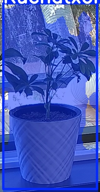 TREE-000013_20260623_121153.jpg